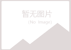 桐城紫山化学有限公司